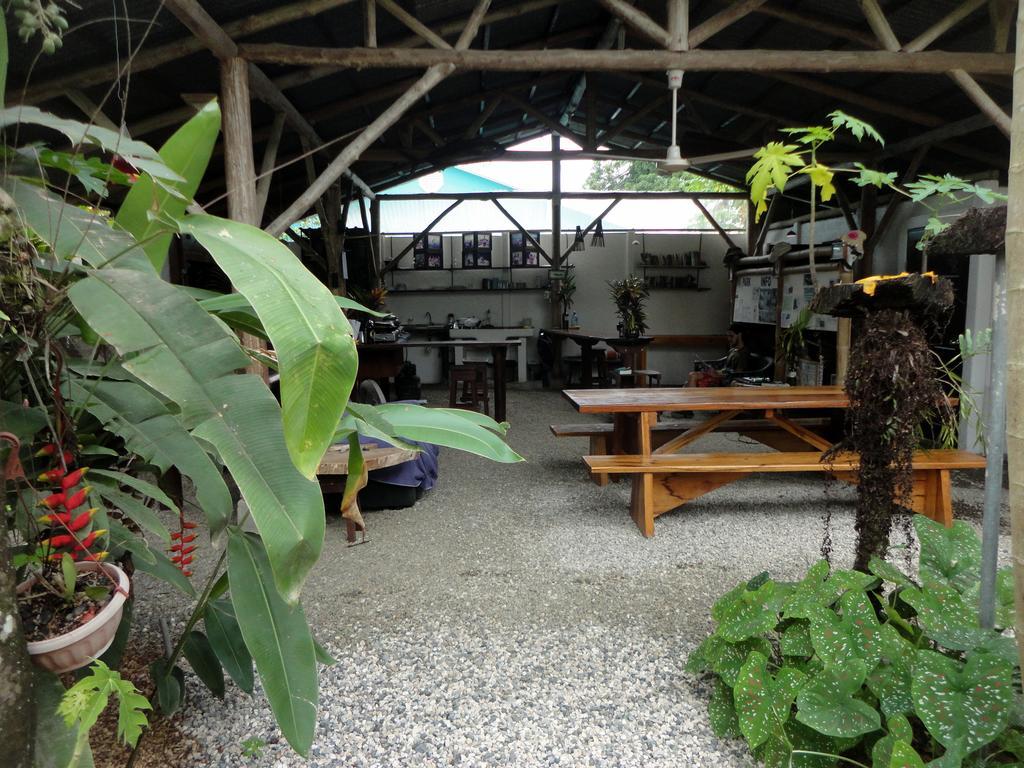 Cabinas Tropicales Puerto Jiménez Exteriör bild