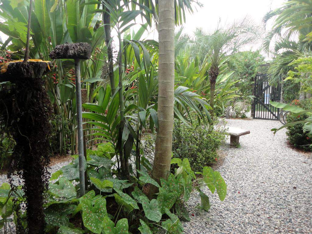 Cabinas Tropicales Puerto Jiménez Exteriör bild