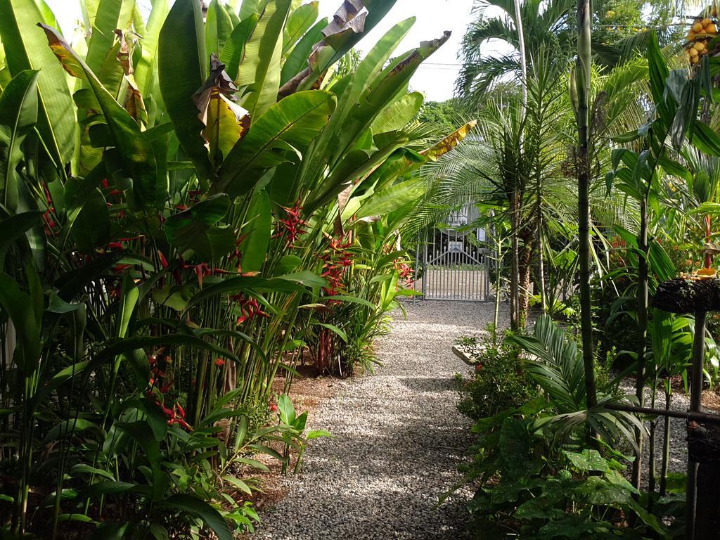 Cabinas Tropicales Puerto Jiménez Exteriör bild