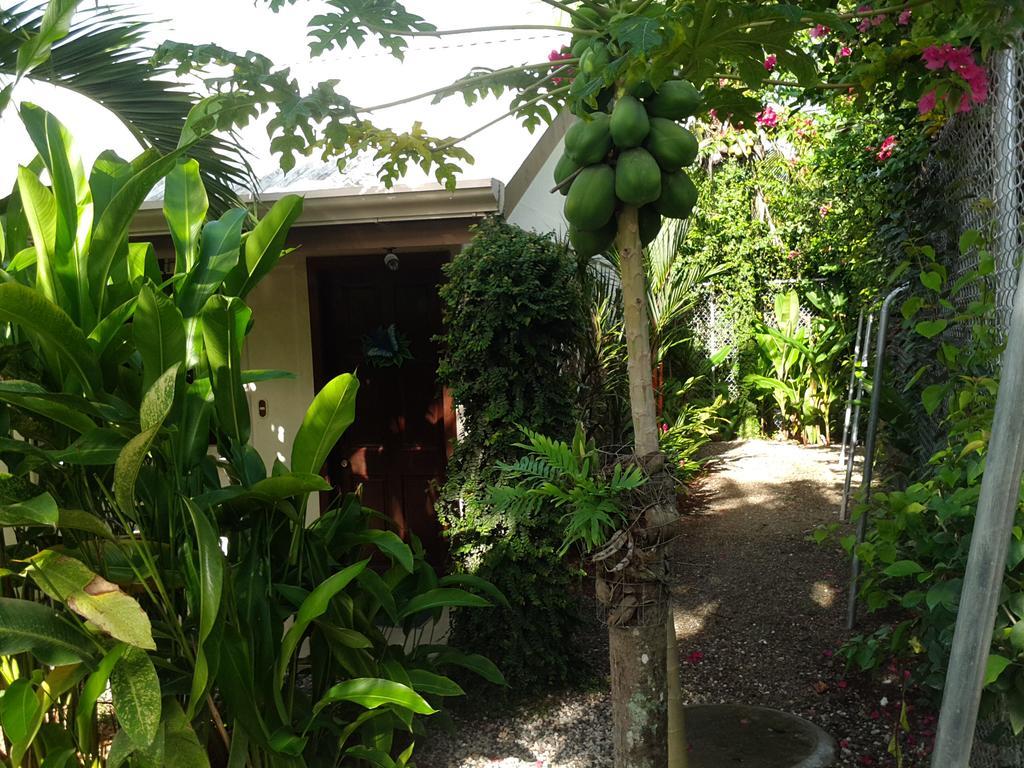 Cabinas Tropicales Puerto Jiménez Exteriör bild