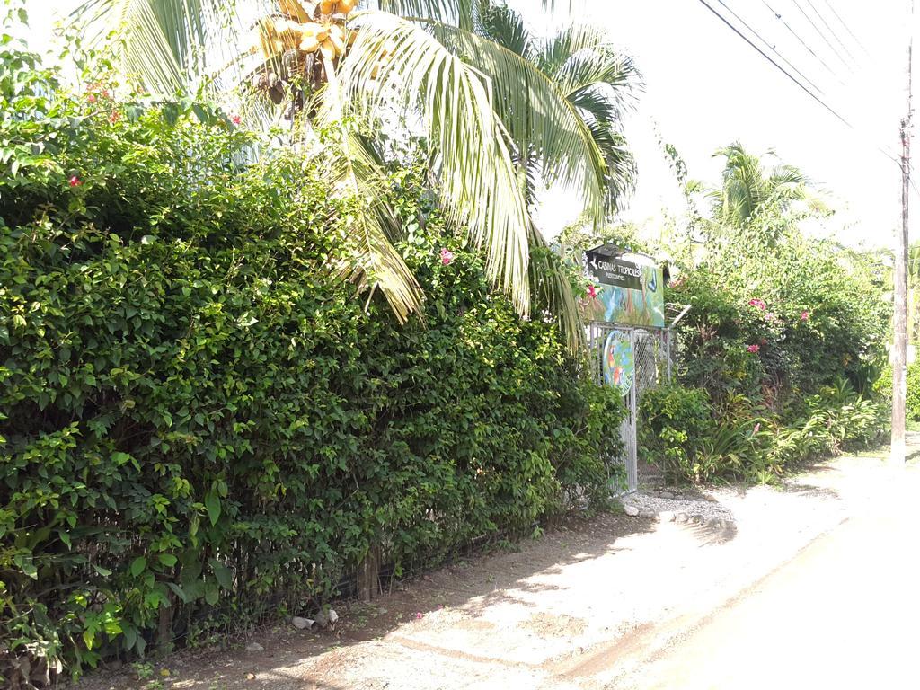 Cabinas Tropicales Puerto Jiménez Exteriör bild