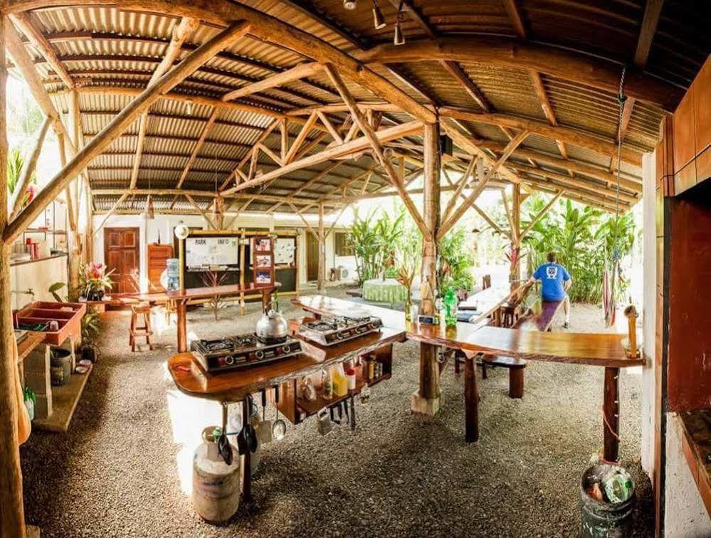 Cabinas Tropicales Puerto Jiménez Exteriör bild